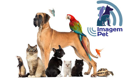 Imagem ilustrativa da empresa Clínica Veterinária Toca dos Bichos em Rio de Janeiro - RJ