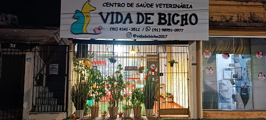 Imagem ilustrativa da empresa Clínica Veterinária Vida de Bicho | Urgência e Emergência | Cirurgias e Hospitalização. em Belém - PA