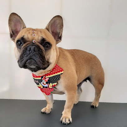 Clínica Veterinária Vila Pet em Campinas - SP