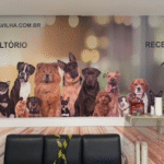 Imagem ilustrativa da empresa Clínica Veterinária zona norte de São Paulo - Cão Maravilha em São Paulo - SP