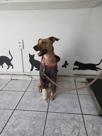 Clínical Vet Clínica Veterinária em Belo Horizonte - MG