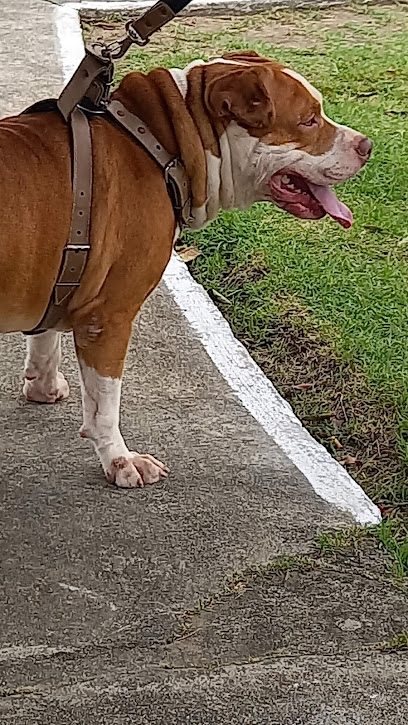 Clinivet - Clínica Veterinária em Maceió - AL