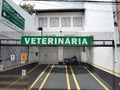 Imagem ilustrativa da empresa Clivepa - Clínica Veterinária do Pará Ltda. Mais de 50 anos cuidando da saúde de pets. em Belém - PA