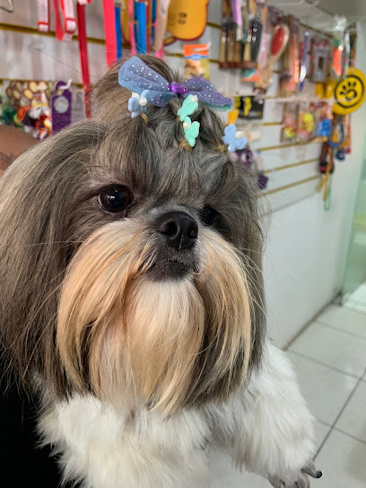 Imagem ilustrativa da empresa Consultório Veterinário e Pet Shop - Reino dos Pet's em Salvador - BA