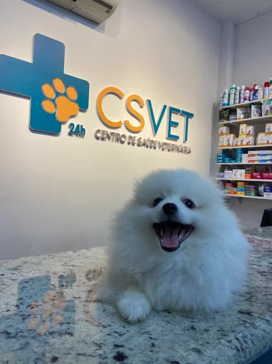 Imagem ilustrativa da empresa CSVET | Hospital Veterinário 24 horas em Uberlândia - MG