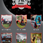 Imagem ilustrativa da empresa CT Personal Dog: Hotel para Caes, Adestrador e Creche Canina em Palmas - TO