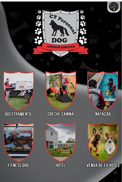 Imagem ilustrativa da empresa CT Personal Dog: Hotel para Caes, Adestrador e Creche Canina em Palmas - TO