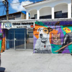 Imagem ilustrativa da empresa CVB - Centro Veterinário da Baixada em Nilópolis - RJ