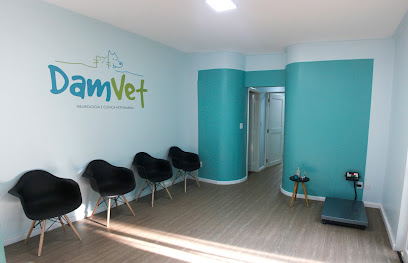 Imagem ilustrativa da empresa DamVet - Neurologia e Clínica Veterinária em Ribeirão Preto - SP