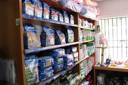 Diagnovet - Veterinário em Salvador - BA