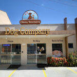 Imagem ilustrativa da empresa Dog Company Veterinária 24 horas em Goiânia - GO