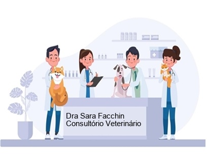 Dra Sara Facchin consultório Veterinário em Porto Alegre - RS