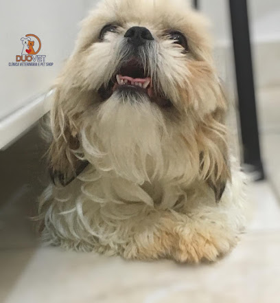 Imagem ilustrativa da empresa DUOVET CLÍNICA VETERINÁRIA E PET SHOP em Aparecida de Goiânia - GO