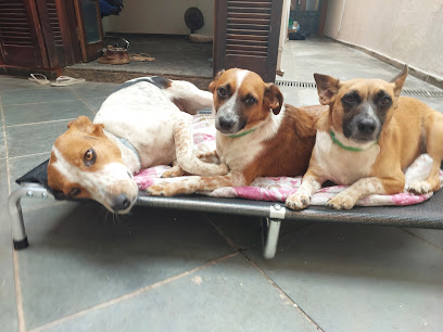 Imagem ilustrativa da empresa EB Clínica Veterinária & Pet Shop em São Bernardo do Campo - SP