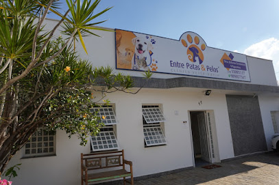 Entre Patas & Pelos Clínica Veterinária em Campinas - SP