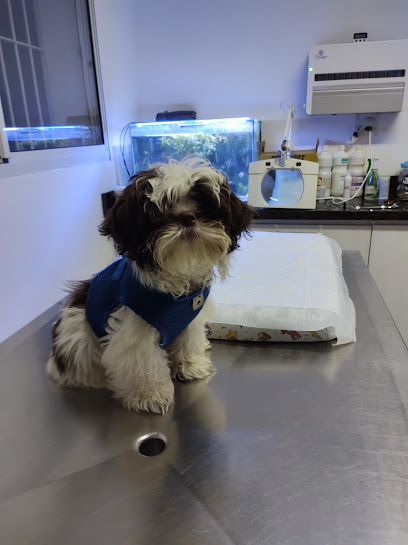 Espaço Veterinário em Sorocaba - SP