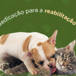 Imagem ilustrativa da empresa Fisio Care Pet Santo André Fisioterapia Acupuntura e Ortopedia Veterinária em Santo André - SP