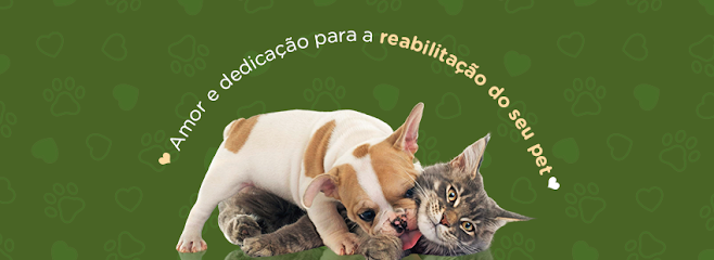 Fisio Care Pet Santo André Fisioterapia Acupuntura e Ortopedia Veterinária em Santo André - SP