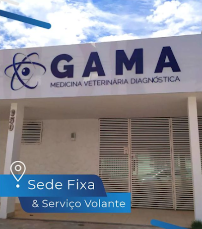 Imagem ilustrativa da empresa Gama Medicina Veterinária Diagnóstica em Uberlândia - MG
