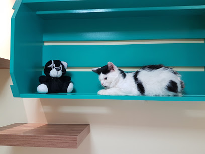 HarmonyVet - Atendimento Veterinário 24h em Natal - RN