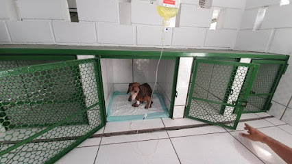 Hipervet Veterinária em Belo Horizonte - MG