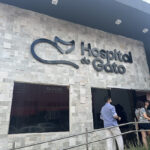 Imagem ilustrativa da empresa Hospital do Gato - Veterinário em Goiânia - GO