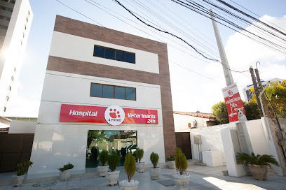 Imagem ilustrativa da empresa Hospital Veterinário 4 Patas - 24 horas em Olinda - PE