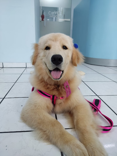 Hospital Veterinário Carinho de Bicho - Unidade Adhemar de Barros em São José dos Campos - SP