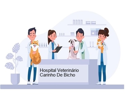 Imagem ilustrativa da empresa Hospital Veterinário Carinho de Bicho - Unidade Parque Industrial em São José dos Campos - SP