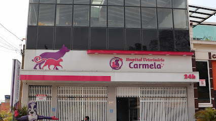Hospital Veterinário Carmela em Guarulhos - SP