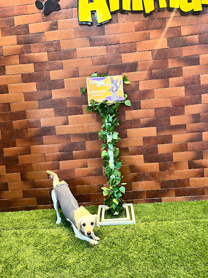 Hospital Veterinário Estilo Animal LTDA em Belo Horizonte - MG