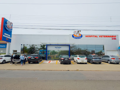 Imagem ilustrativa da empresa Hospital Veterinário Estimma em Campinas - SP