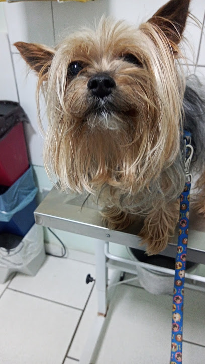 Imagem ilustrativa da empresa Hospital Veterinário Nivo Auffinger em Curitiba - PR