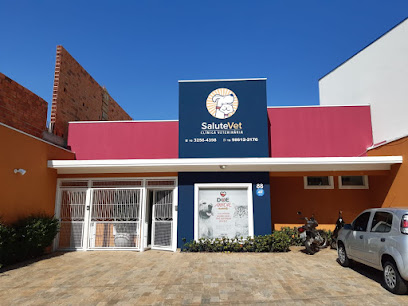 Imagem ilustrativa da empresa Hospital Veterinário SaluteVet em Campinas - SP