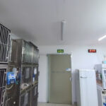 Imagem ilustrativa da empresa Hospital Veterinário Santa Mônica em Curitiba - PR