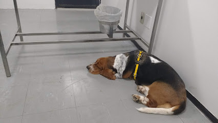 Imagem ilustrativa da empresa Hospital Veterinário UFU em Uberlândia - MG
