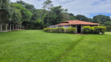 Imagem ilustrativa da empresa Hotel e Canil Coyote em Goiânia - GO