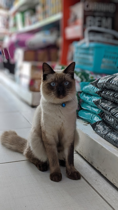 HS Hospital Veterinário 24h em Recife - PE