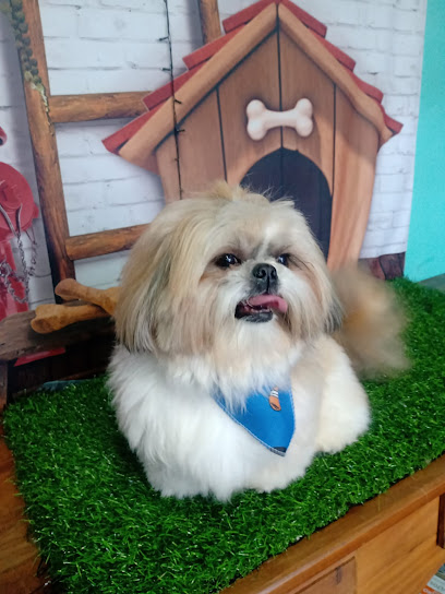 Imagem ilustrativa da empresa ITAPETI Veterinária em Santo André - SP