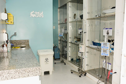 Life Hospital Veterinário em Belo Horizonte - MG