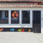 Imagem ilustrativa da empresa Like all Dogs- Adestramento em Vila Velha - ES