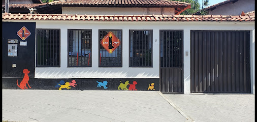 Like all Dogs- Adestramento em Vila Velha - ES