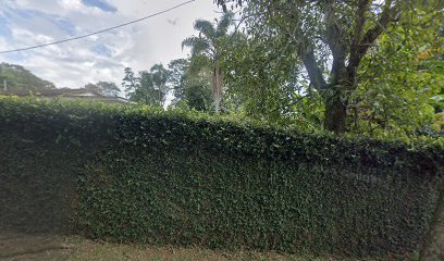Los Bruttos Bull Kennel em Embu-Guaçu - SP