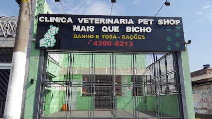 Imagem ilustrativa da empresa Mais que Bicho - Veterinário em São Bernardo do Campo - SP