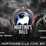 Imagem ilustrativa da empresa Martina's Bull's Kennel em Jundiaí - SP