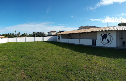 Imagem ilustrativa da empresa Matilha - Adestramento e hospedagem em Aracaju - SE