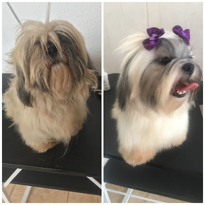 MedicalVet Clínica Veterinária em Belo Horizonte - MG