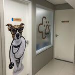Imagem ilustrativa da empresa Moinhos Pet - Clínica Veterinária em Porto Alegre - RS