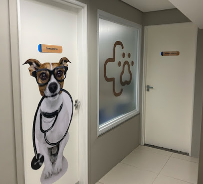 Imagem ilustrativa da empresa Moinhos Pet - Clínica Veterinária em Porto Alegre - RS