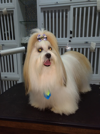 Natal Pet Center - Veterinário em Natal - RN
